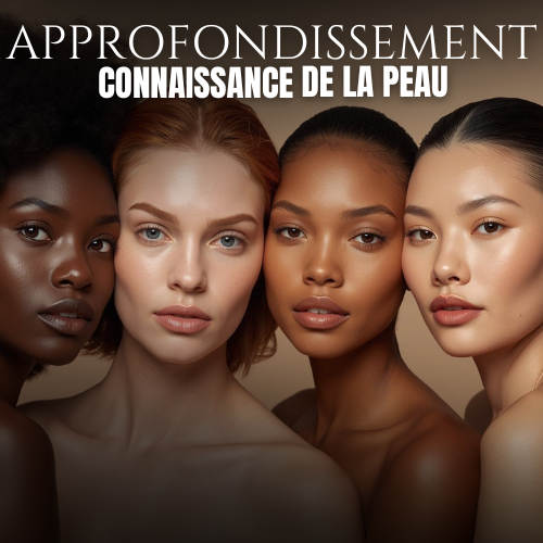 Approfondissement connaissance de la peau